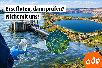 Erst fluten, dann prüfen? Nicht mit uns! Erst fluten, dann prüfen? Nicht mit uns!